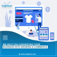 Cognisun Infotech Pvt Ltd image 6